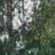 JPEG - 59.7 ko